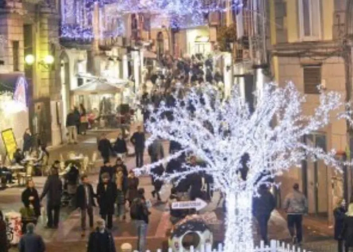 Casa Dalia Lejlighed *